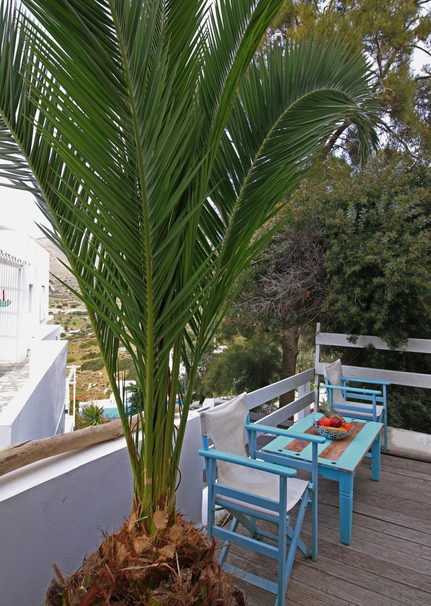 Captain'S Kini Exterior photo